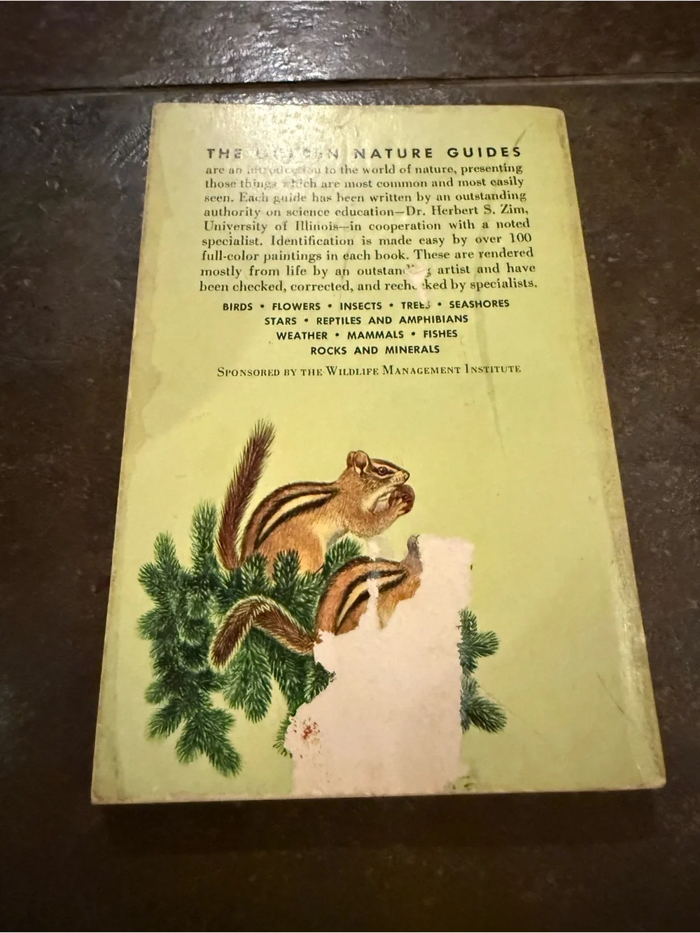 VTG Mammals: A Golden Nature Guide - Yellow Illustrated Cover